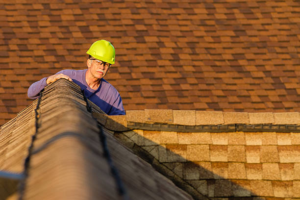 Best Local Roofing Companies  in Perry Heights, OH