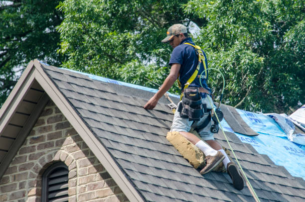 Quick and Trustworthy Emergency Roof Repair Services in Perry Heights, OH